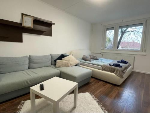 Sz43 Apartman free Parking - Location saisonnière - Győr