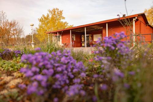 Prague Camping Dzban - image 7