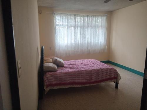 오악사카 casa los patos 1성급 싱글룸 전망