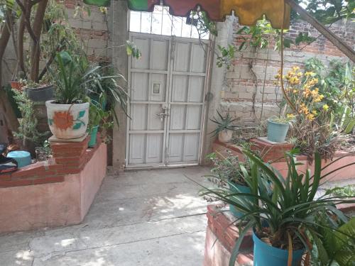 오악사카 casa los patos 1성급 싱글룸 외관