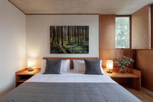 Deluxe King Room image 9