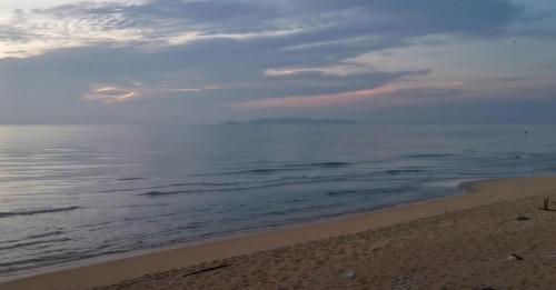 Beach, Nuri Homestay Rusila 1 in Rusila