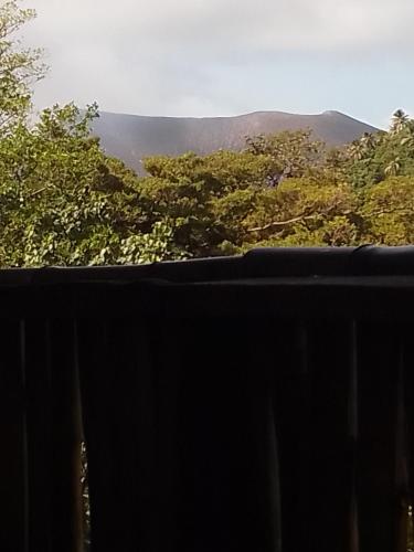 Home stay tree house in Santo