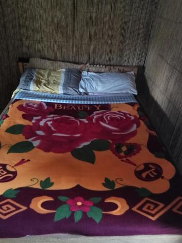 Home stay tree house in Santo