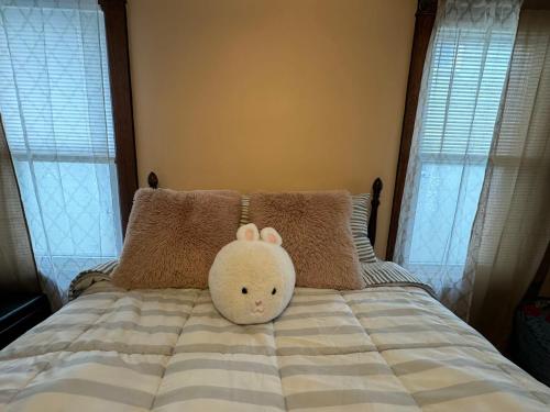 Great value&Quiet Green Suite in Ithaca City Center