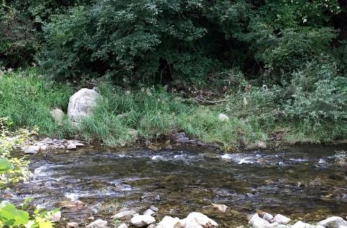 Hongcheon Gaon Resort Village Glamping in Danwol-myeon