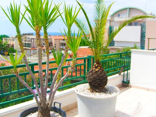 Apartment Jarak Center Makarska