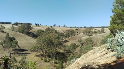 滨江农场度假屋