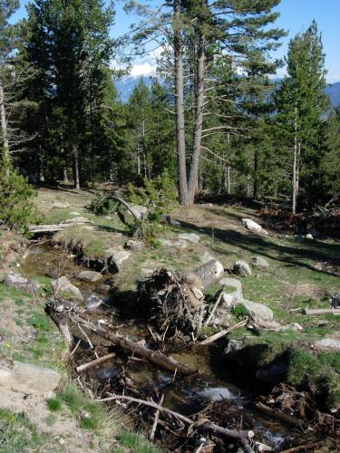 Hostal Pas De La Pera