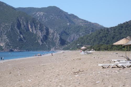 Armina Pension - image 2