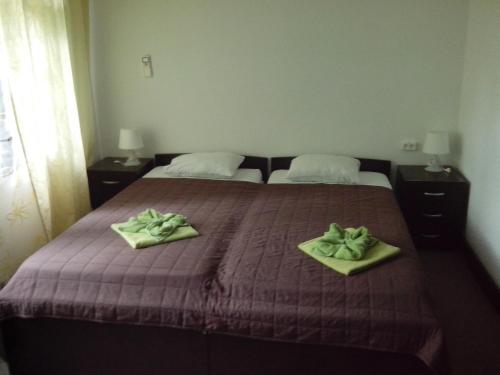 Coconut - main image