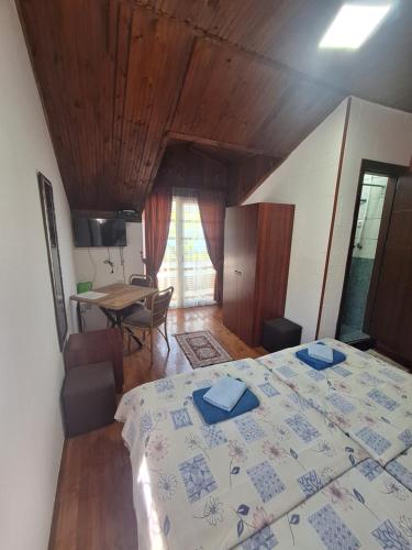 Villa Filip in Trpejca