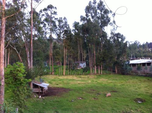Wayra Hospedaje – Cajamarca