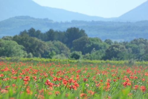 Lodges en Provence - Ecogîtes & Restaurant insolites