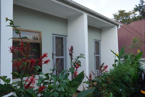 Exterior view of New Dream House