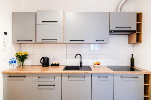 12A Loft Apartment- Modern flat with kitchen and bathroom, Breslavia (foto 4)