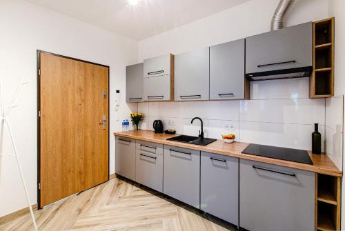 12A Loft Apartment- Modern flat with kitchen and bathroom, Breslavia (foto 5)