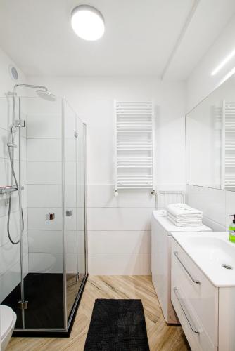 12A Loft Apartment- Modern flat with kitchen and bathroom, Breslavia (foto 6)