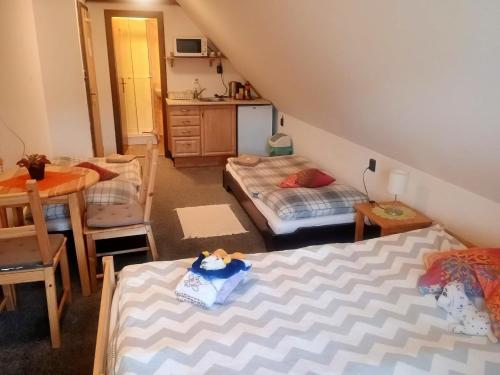 Facilities, Penzion "V Zeleny" in Rokytnice nad Jizerou