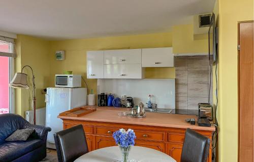 virtuve, 1 Bedroom Beautiful Home In Nowe Warpno in Nowe Warpno