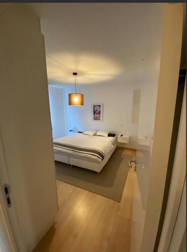 Business Accommodation Luxury XL Geel