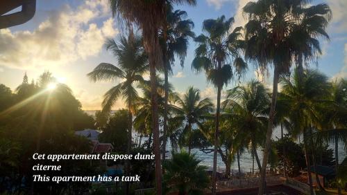 Grand studio les pieds dans l'eau, centre ville - Location saisonnière - Le Gosier