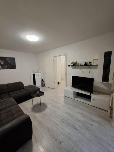 One-Bedroom Apartment image 10