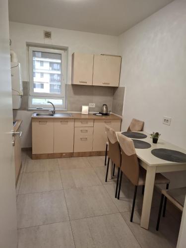 One-Bedroom Apartment image 6