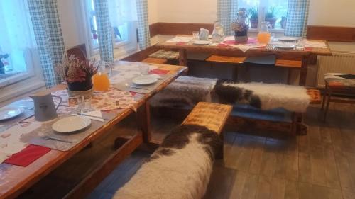 Restaurant, Penzion "V Zeleny" in Rokytnice nad Jizerou