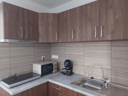 ทัศนียภาพภายนอกโรงแรม, Szárcsa Apartman Sarud (Szarcsa Apartman Sarud) in ซารุด