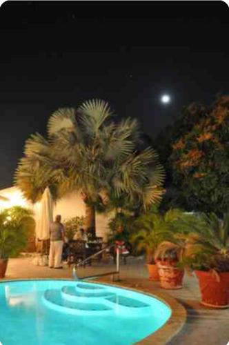 Palmitas Hostel with tropical garden & pool in Noord