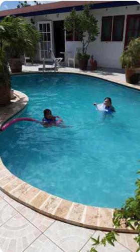 Palmitas Hostel with tropical garden & pool in Noord