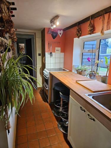 Cheerful, bright, cosy period cottage with hot tub in Ticehurst