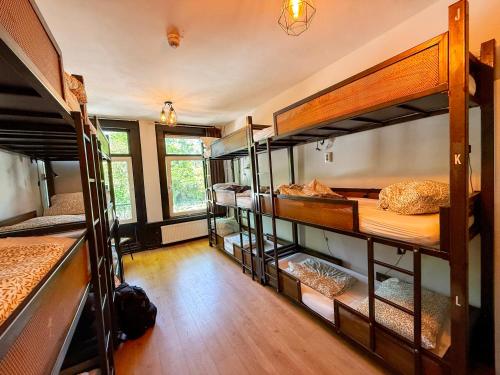 Onefam Amstel – Amsterdam, NY