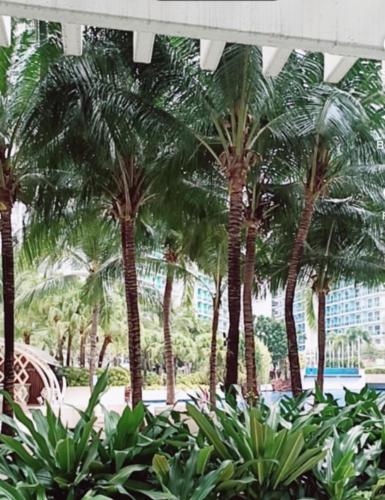 azure beach front view, Manila