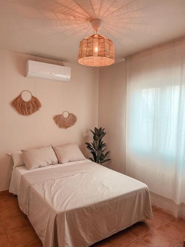 Rooftop 24, Calpe (fotografie 3)
