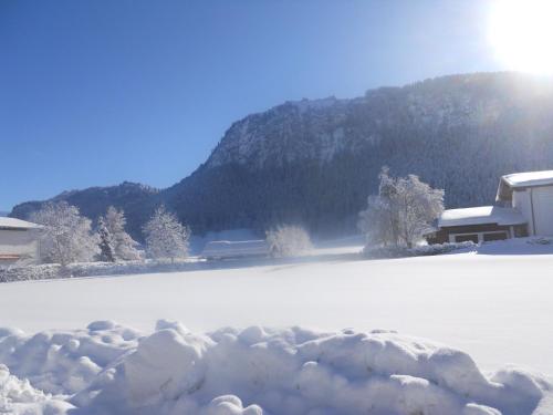 金特霍夫酒店 金特霍夫酒店