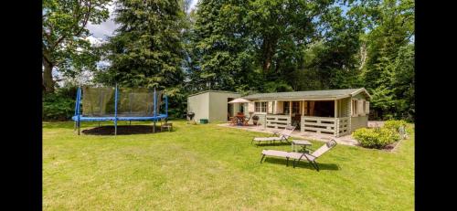 Family friendly sunny Log Cabin in Holt (Dorset)