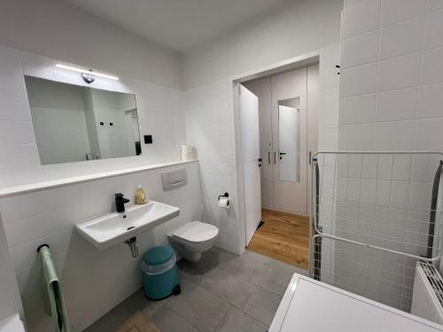Kompaktes Zentrales Studio mit Parkplatz, Vídeň (fotografie 3)