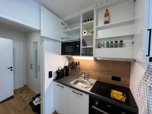 Kompaktes Zentrales Studio mit Parkplatz, Vídeň (fotografie 8)