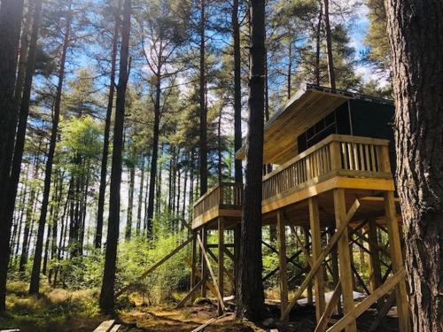 A környék, Treetops at Wildwoodz Off grid treehouse No electricity in Munlochy