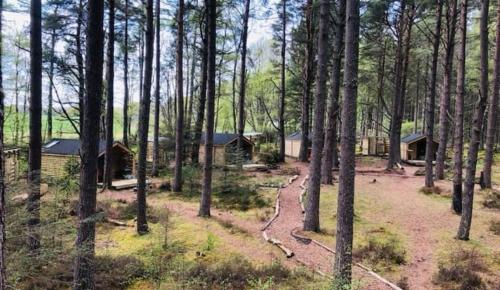 Kilátás, Treetops at Wildwoodz Off grid treehouse No electricity in Munlochy