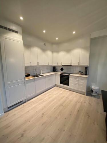 廚房, Leknes skyline appartment- City Centre in 萊克內斯