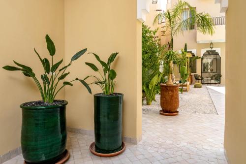 Riad Malaika - image 6