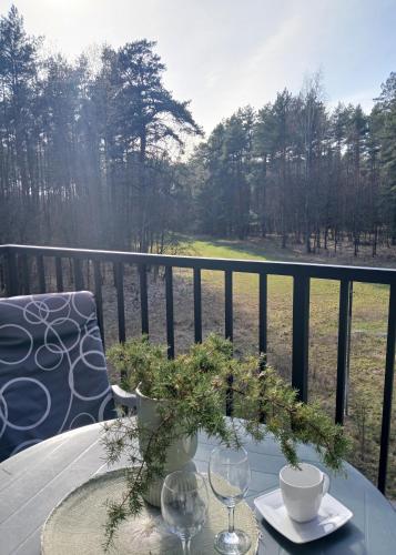 Zapach lasu Karwica Naturalne SPA, sauna, joga A206