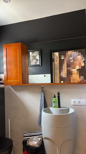 Thuishaven - boutique mini-resort, Willemstad (foto 8)