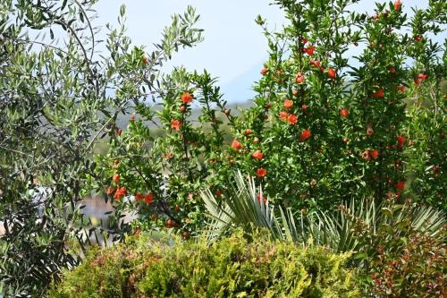 EMAR Beachfront Hotel Ksamil – Ksamil, OR
