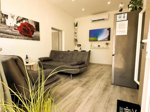 บริการและสิ่งอำนวยความสะดวก, VIBE S31 Apartman ,AC,Free Parking in วาราเลีย