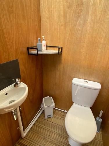 Vannas istaba, Hendre Glamping Retreat, The Wren's Nest in Bwlch-y-groes