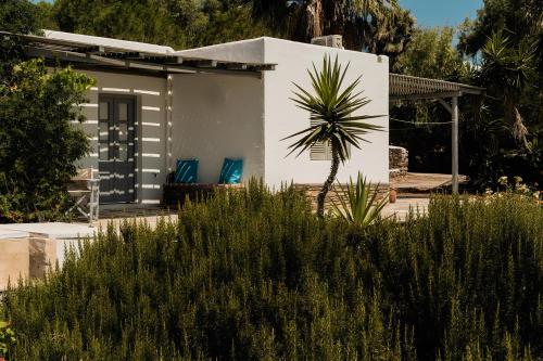 景觀, 索羅斯海灘酒店 (Soros Beach) in 安蒂帕羅斯